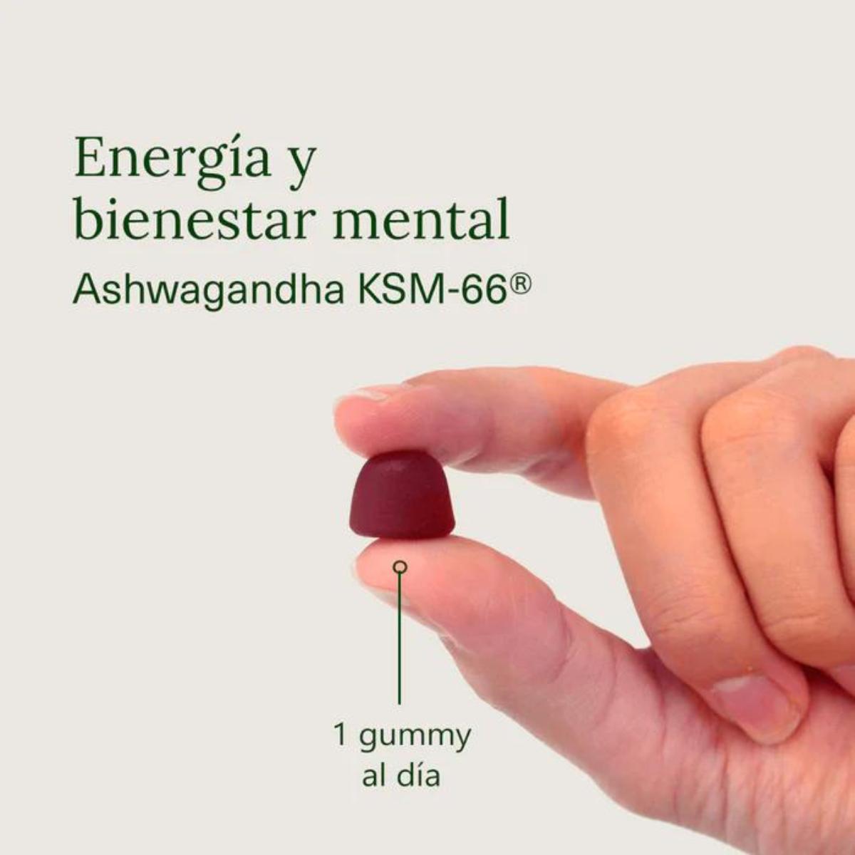 Ashwagandha en gominolas sabor cereza Aldous Bio 120 gominolas