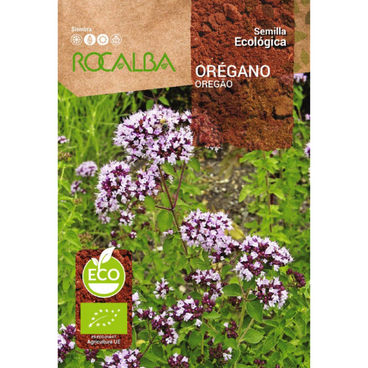 Semillas ecológicas de orégano Rocalba