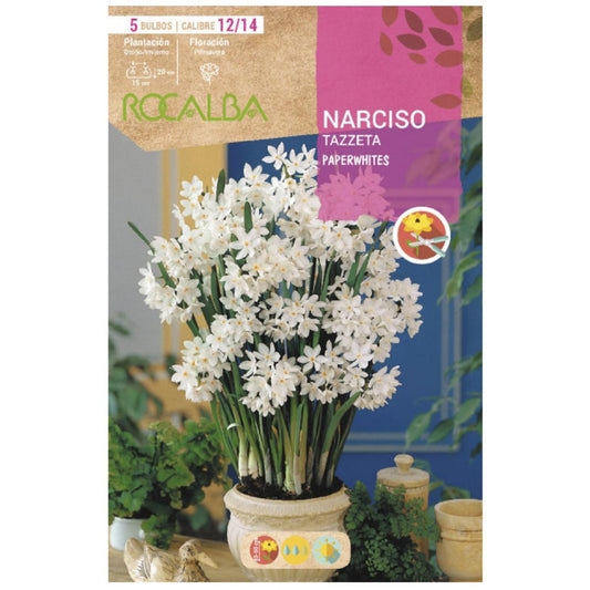 Bulbo Narciso Tazzeta Paperwhites blanco 5 uds Rocalba