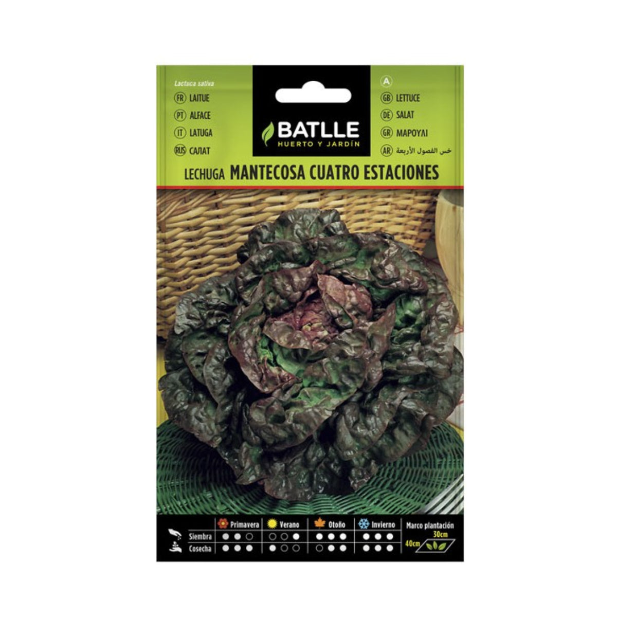Semillas de Lechuga Mantecosa Cuatro Estaciones