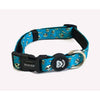 Collar para perro SKULLS Dukier