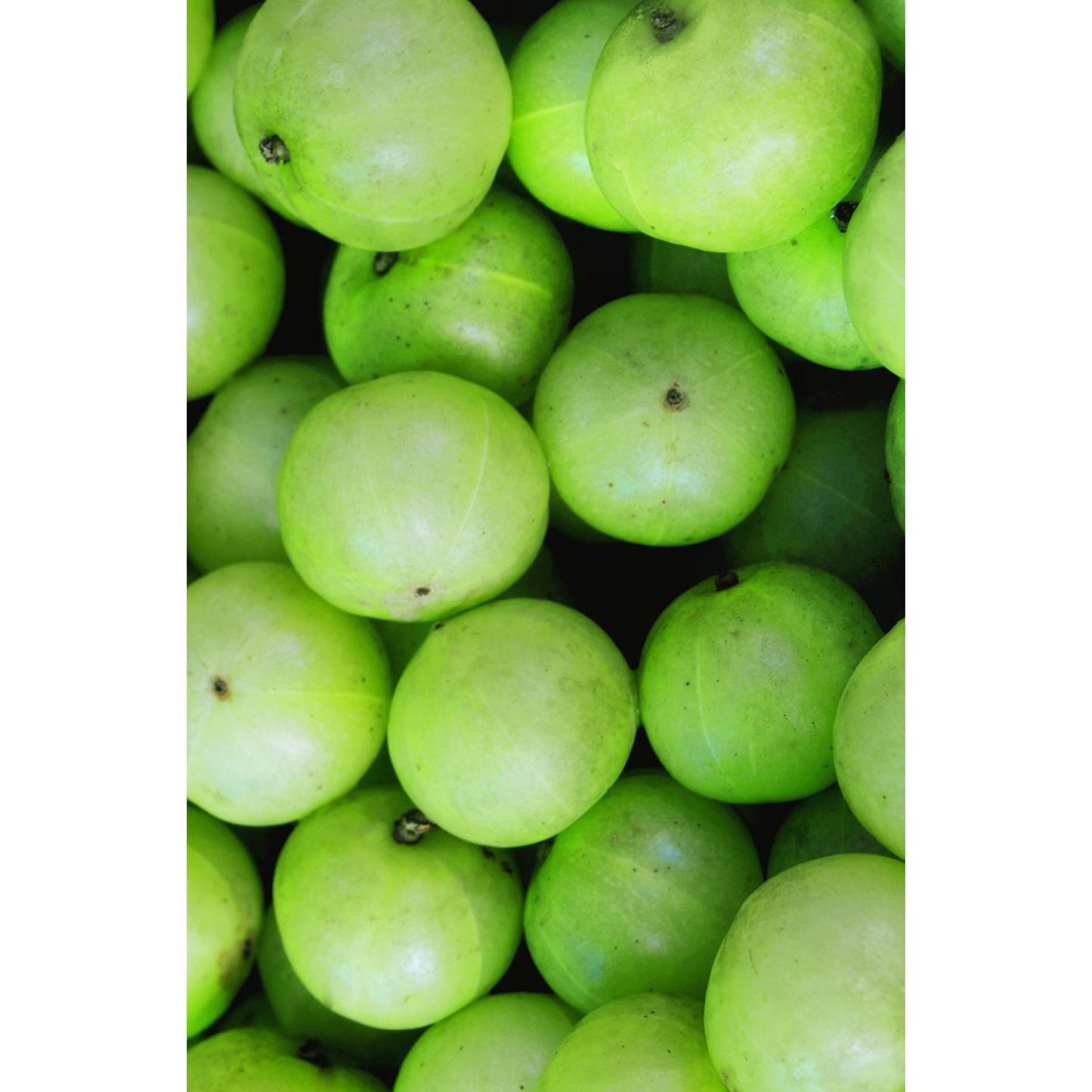 Pack 2x Champú Amla Volumen, Khadi, 200ml