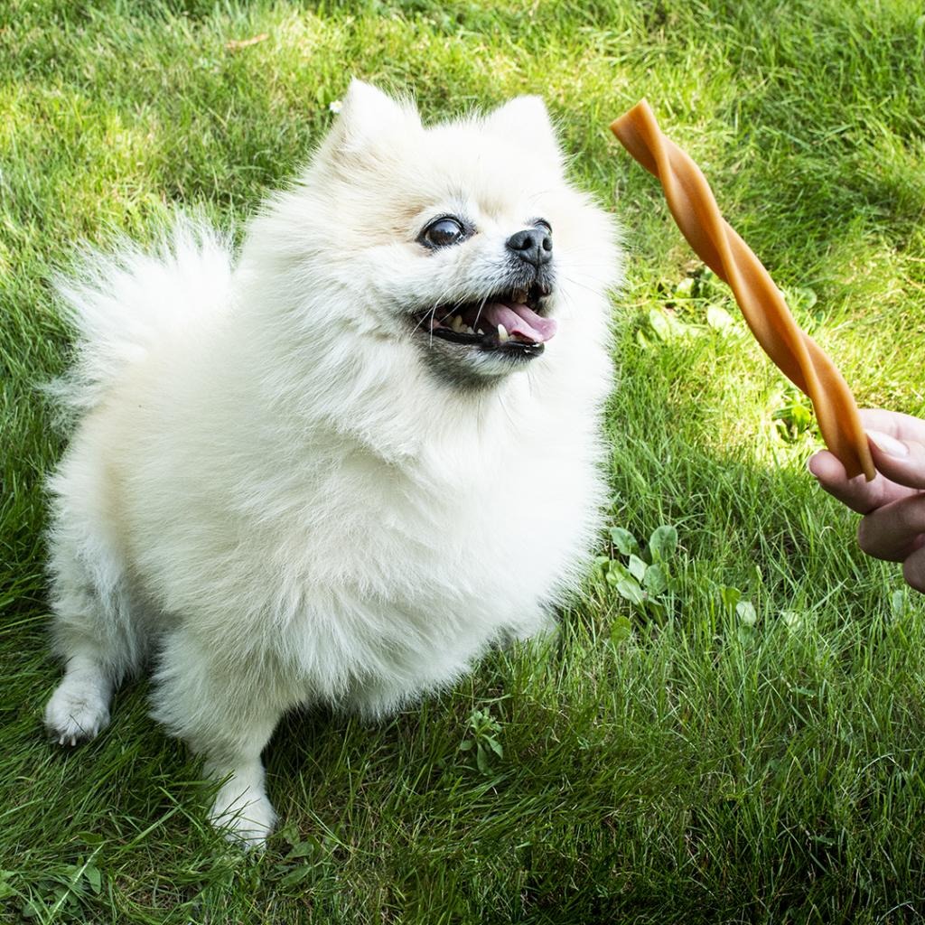 Garden Bites Fruity Dental Swirls Snack dental para perros S 30 uds Duvo