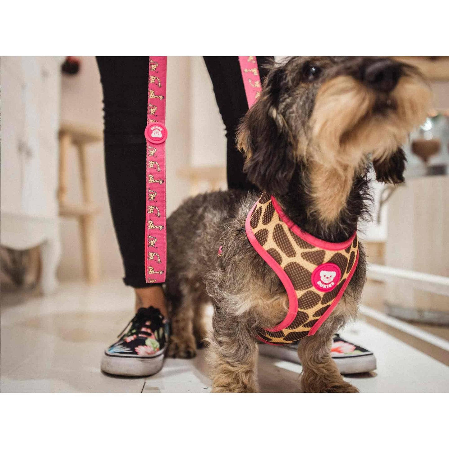 Arnés reversible para perro SAVANA Dukier XL