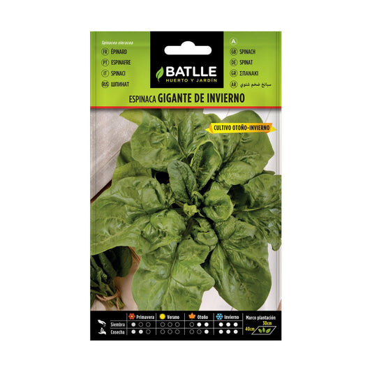 Semillas de Espinaca Gigante de Invierno 100 g Batlle