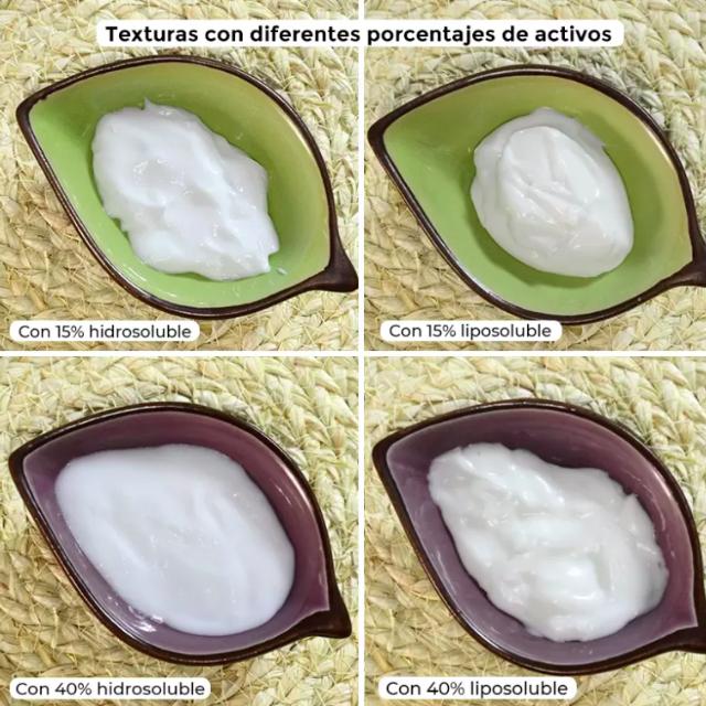 Crema Base certificada ecológica, Camassia