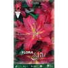 Bulbo Lilium Oriental rojo 2 uds