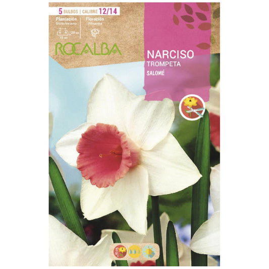 Bulbo Narciso trompeta Salome blanco rosa 5 uds Rocalba
