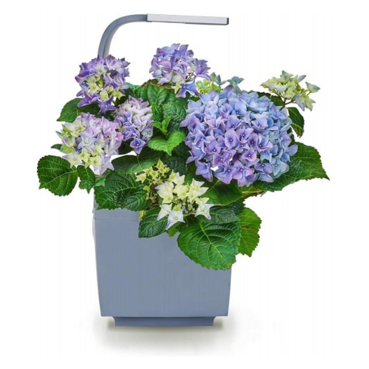 Maceta autocultivo T3 Kitchen Garden 20 x 17,5 cm