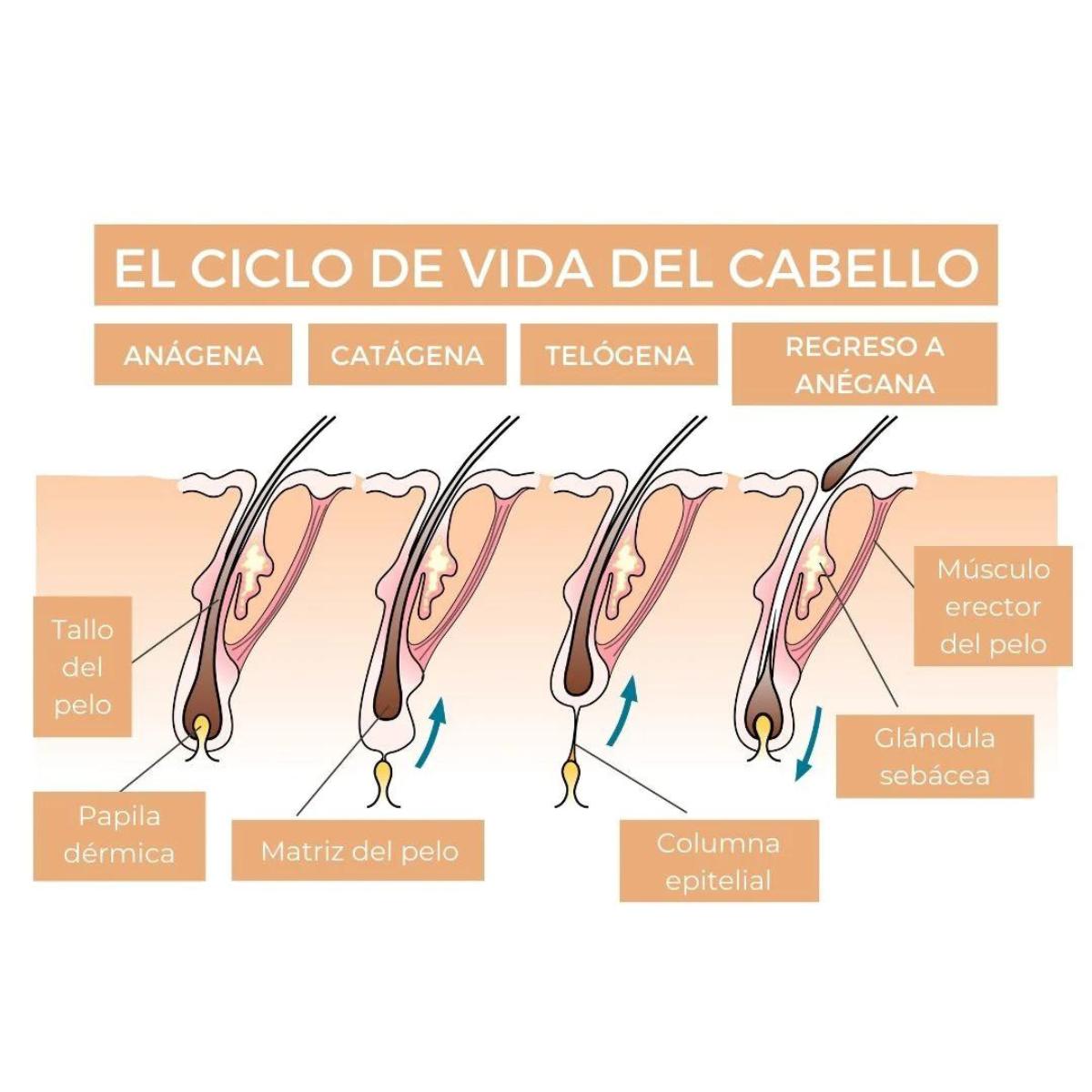 Serum Growth crece pestañas 5ml Arganour