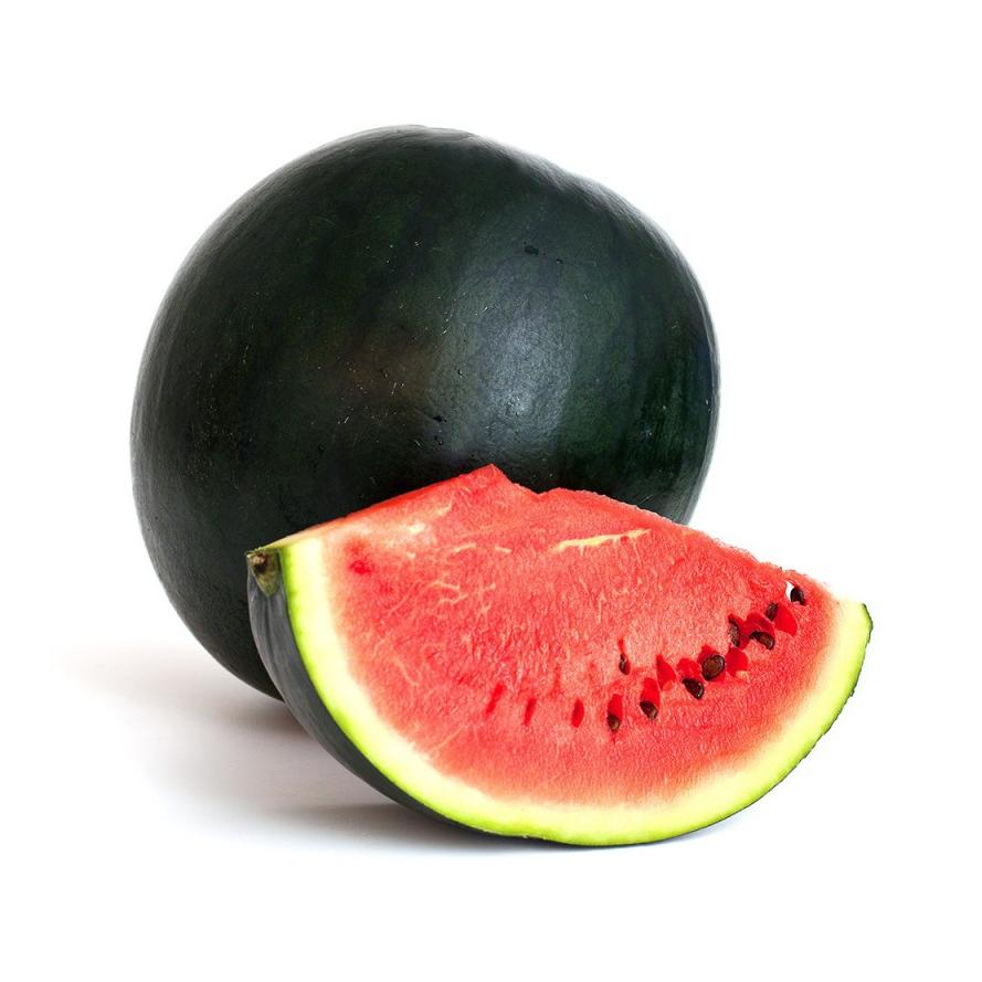 Plantón de Sandía Negra Redonda 6 uds. Gama Tradicional