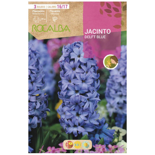 Bulbo Jacinto Delft Blue azul 3 uds Rocalba