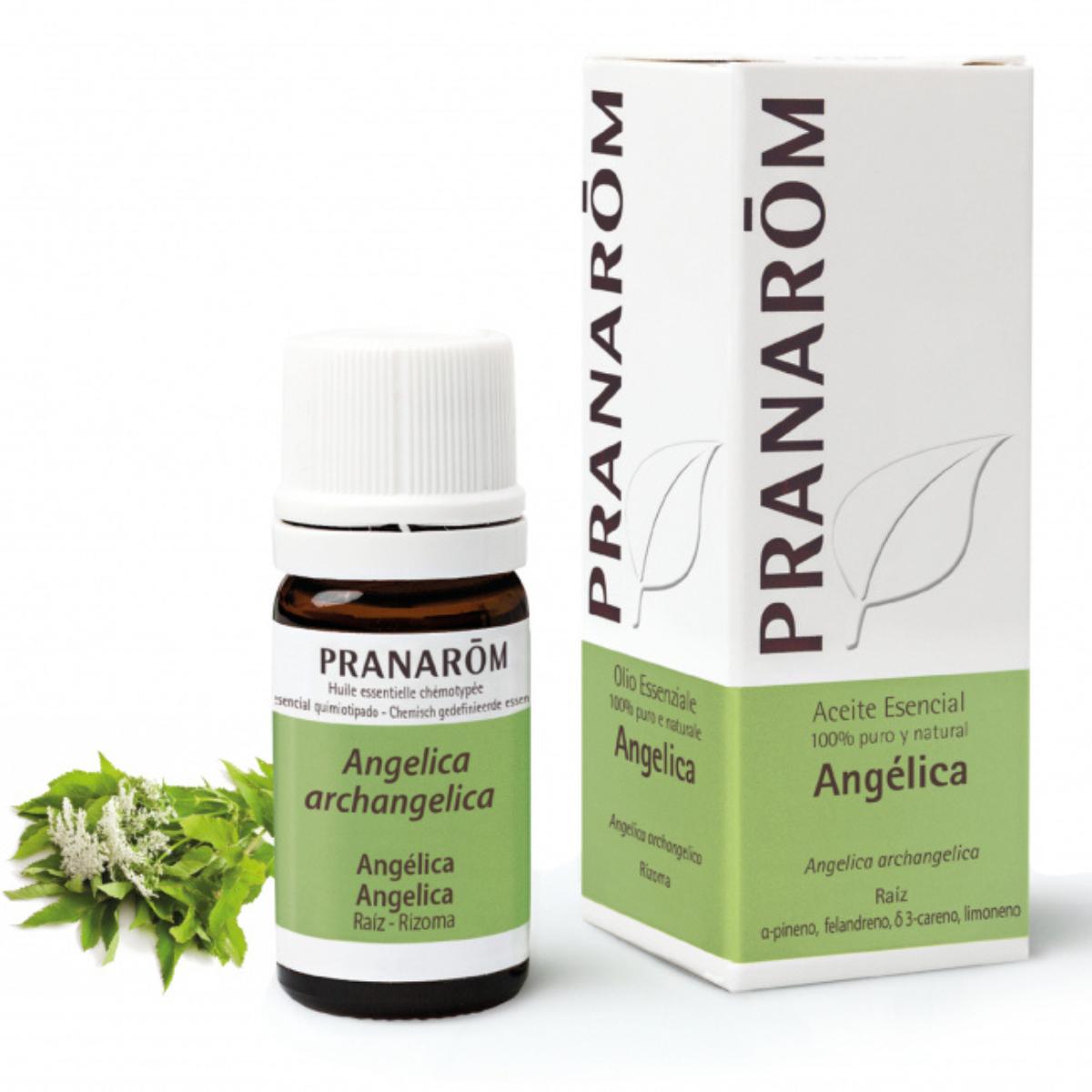 Aceite esencial angélica, Pranarôm 5 ml