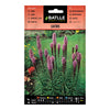Semillas de Liatris Batlle