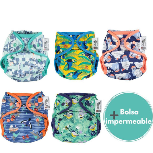 Pack 5 Pop-in Corchetes