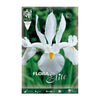 Bulbos Iris Holanda blanco 10 uds
