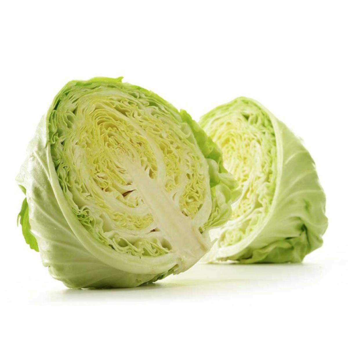 Plantón de Col repollo en maceta 11 cm