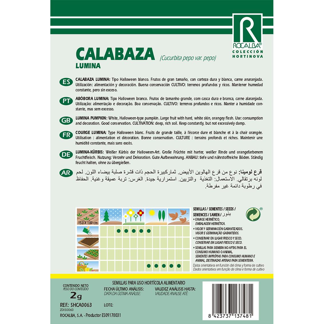 Semillas de Calabaza lumina