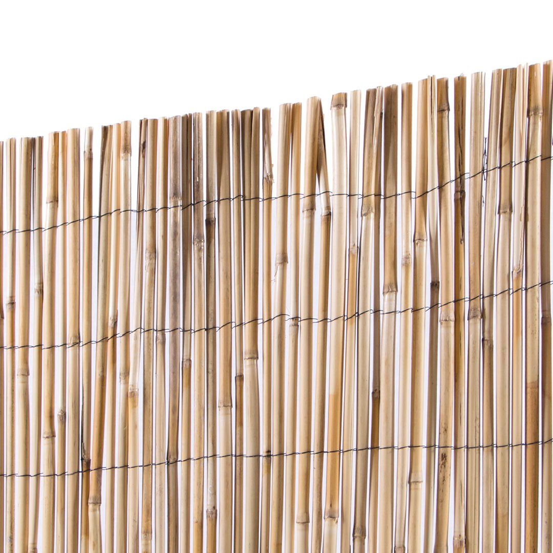 Cañizo entero varilla mediana Reedcane Plus Nortene  1x5 m