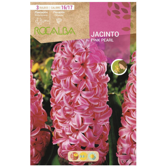 Bulbo Jacinto Pink Pearl rojo 3 uds Rocalba