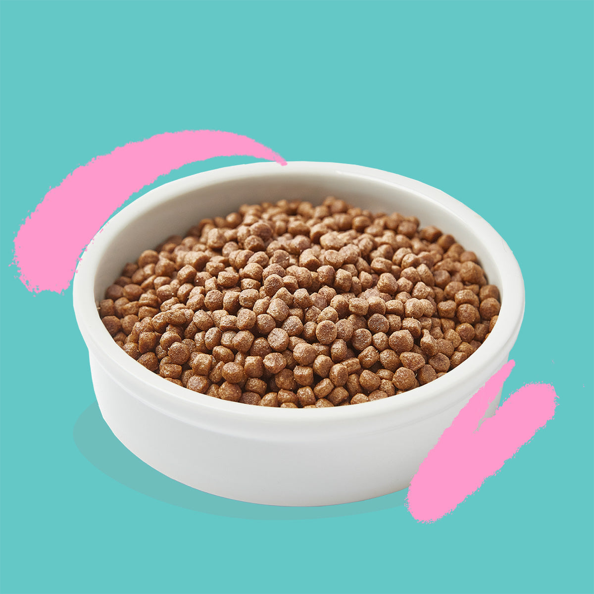 Pienso para gatos Kitten Pato y Pollo frescos Edgard & Cooper 2 Kg