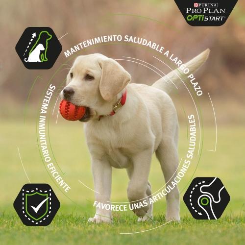 PRO PLAN Cachorro Grande Robusto Balance Pollo 12kg
