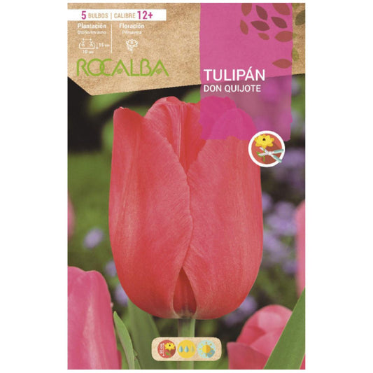 Bulbo Tulipán Don Quijote rosa 5 uds Rocalba