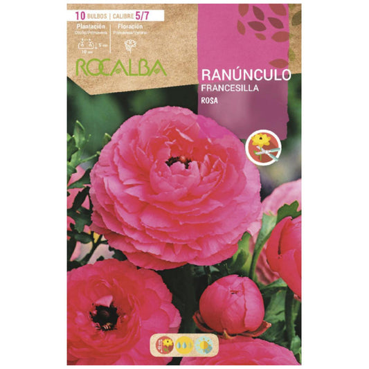 Bulbo Ranúnculo Francesilla rosa 10 uds Rocalba