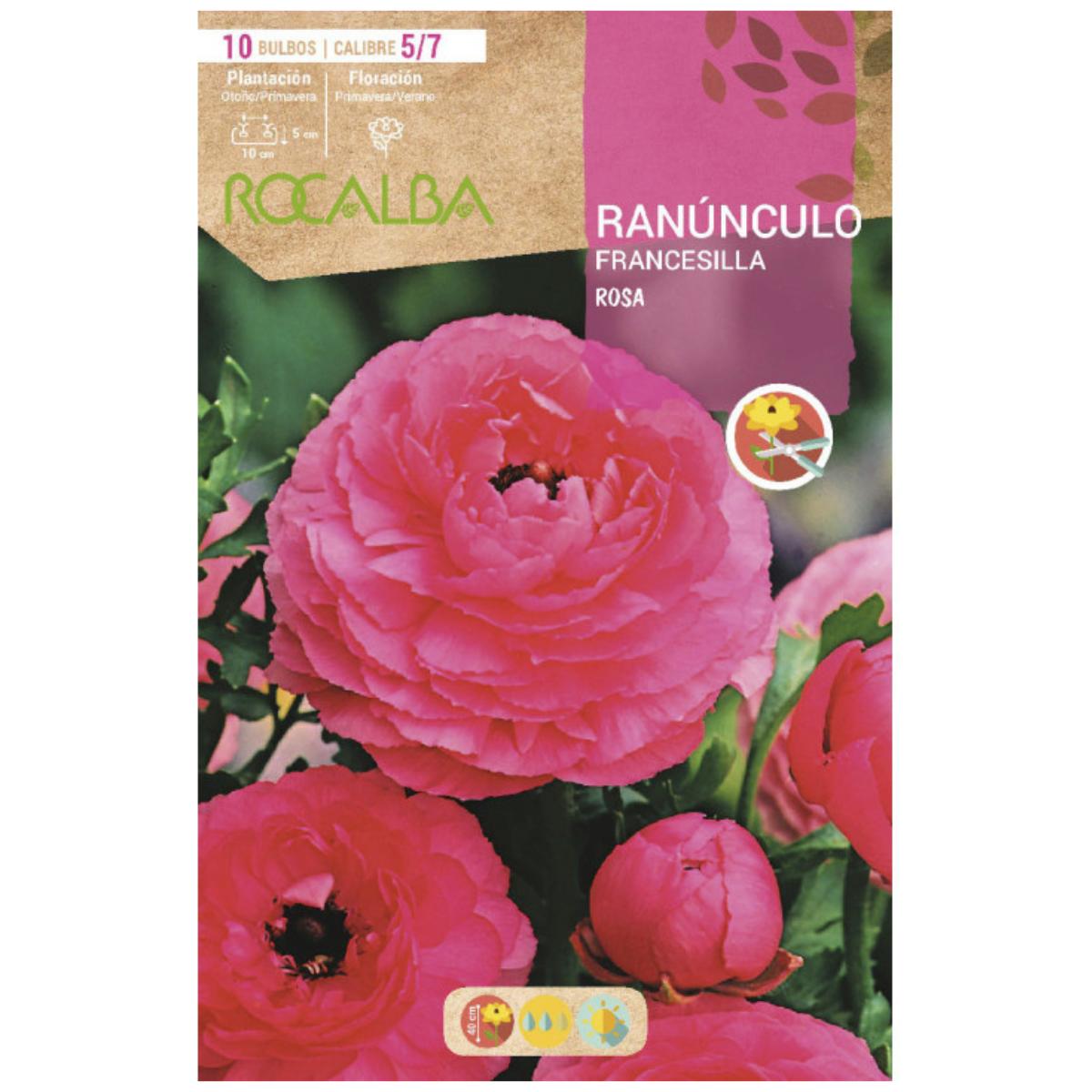 Bulbo Ranúnculo Francesilla rosa 10 uds Rocalba