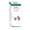 Bio Essential Oil Mejorana - Qt:Terpinen-4-Ol Equisalud