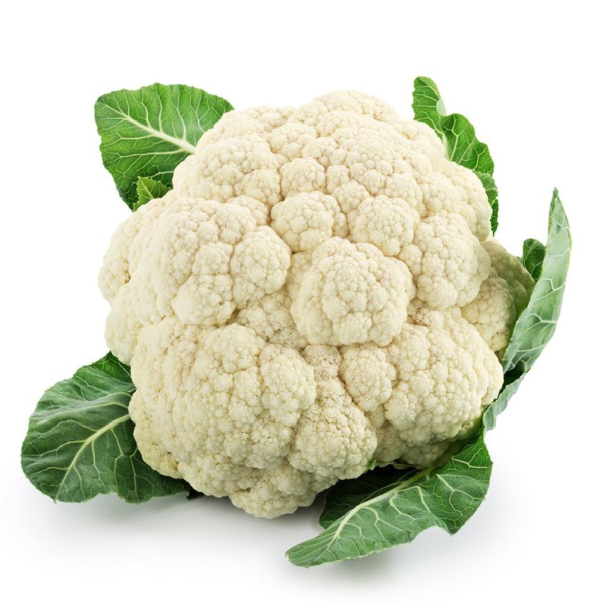 Plantón de Coliflor en maceta 11 cm