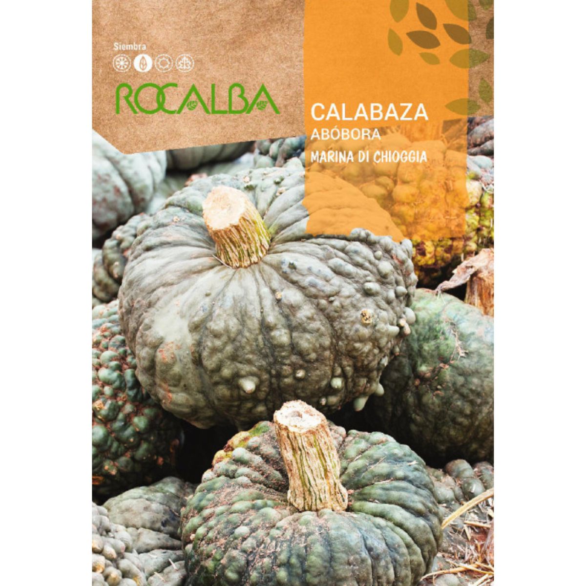 Semillas de Calabaza marina di chioggia