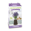 Kit de cultivo interior Lavanda
