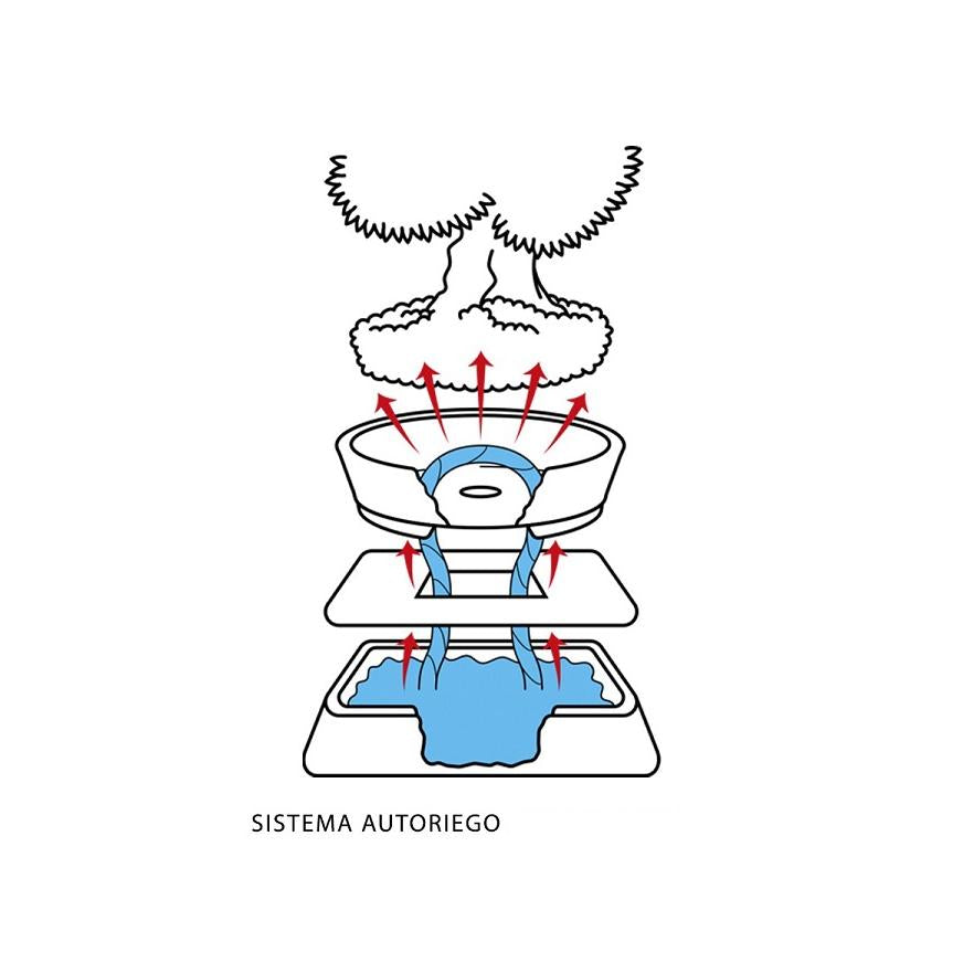 Sistema de auto riego para bonsáis 15 cm