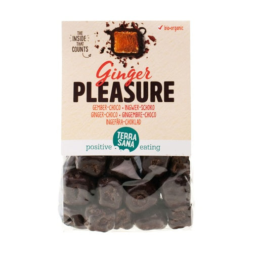 Placer de Jengibre 150 g Terrasana