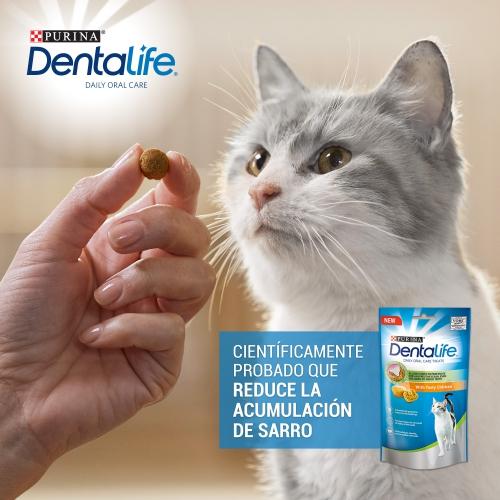 Dentalife Pollo Snack dental para gatos 40 g