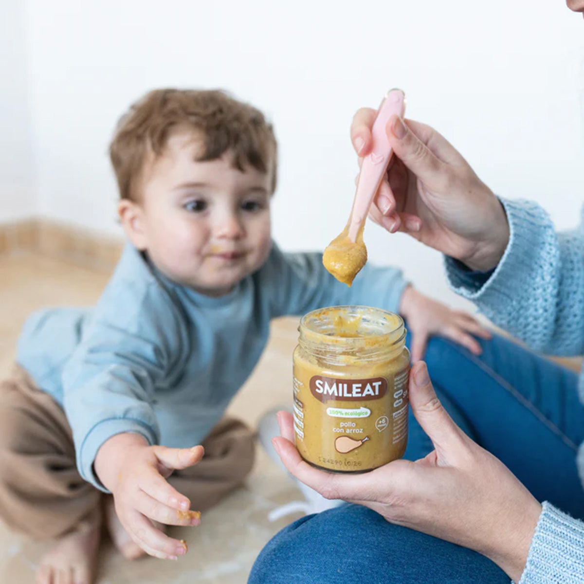 Pack 2x Tarrito BIO pollo con arroz +6 meses Smileat, 230g