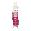 Champú brillo radiante  abedul Sante 250 ml