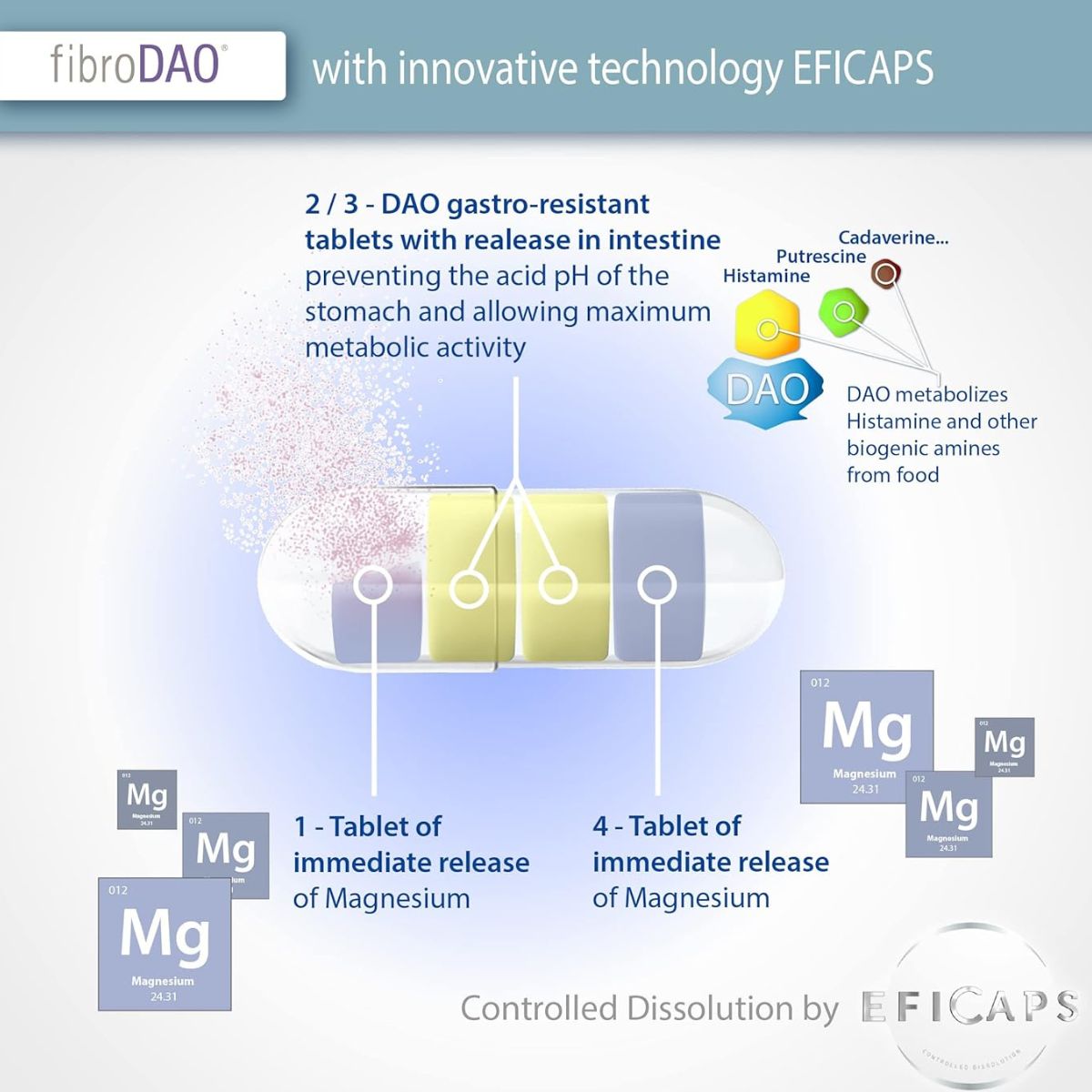 fibroDAO® 60 cápsulas con comprimidos gastrorresistentes