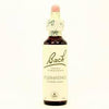 Bach 28 Scleranthus 20 Ml ( Flores De Escleranto) Bach