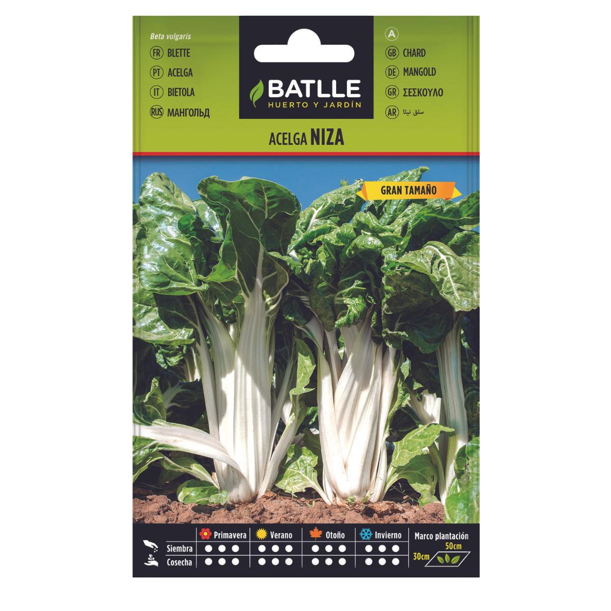 Semillas de Acelga Niza Batlle