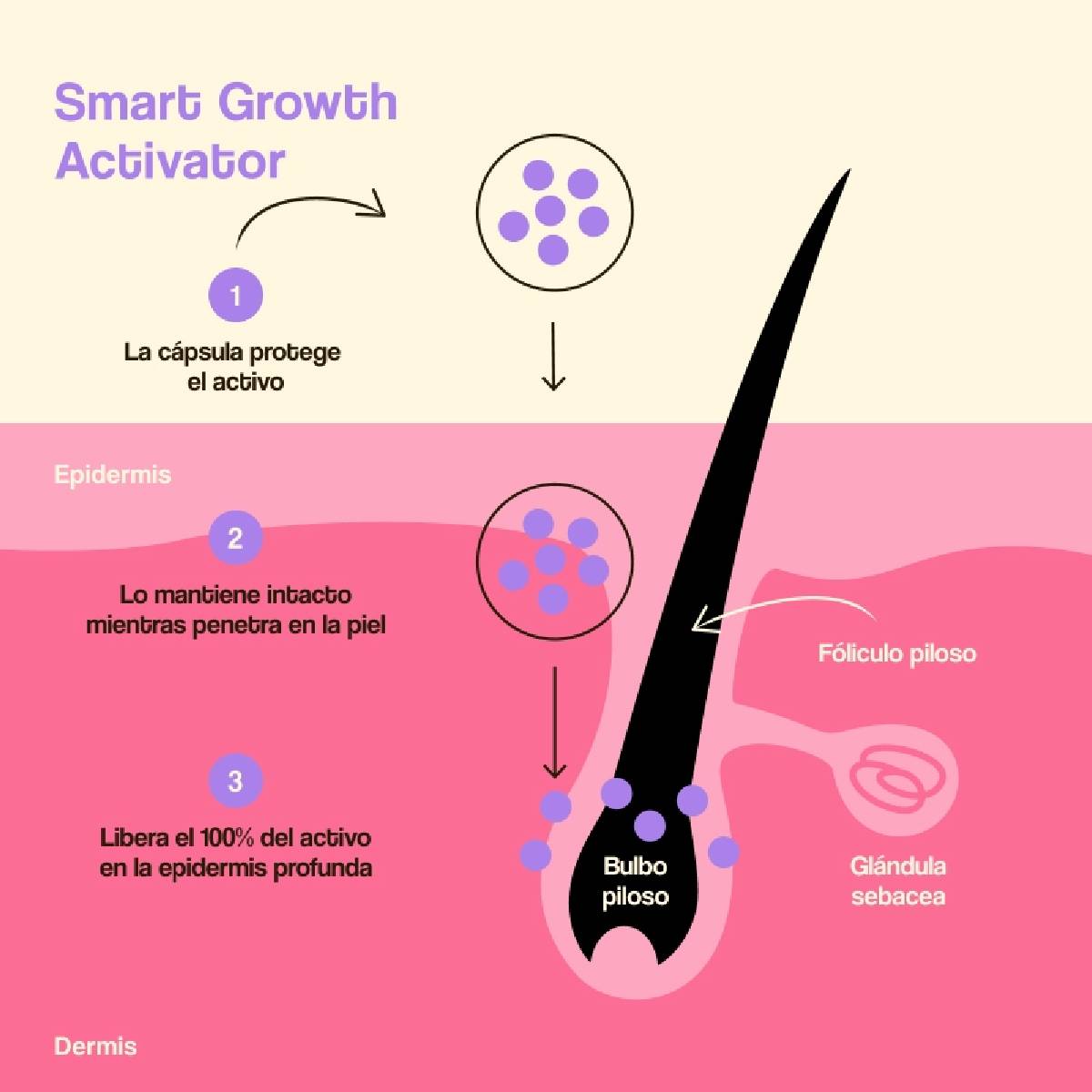 Tratamiento Crecimiento Y Densidad Capilar Freshly 50ml