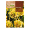 Semillas de Protea Leucospermum cordifolium, Rocalba