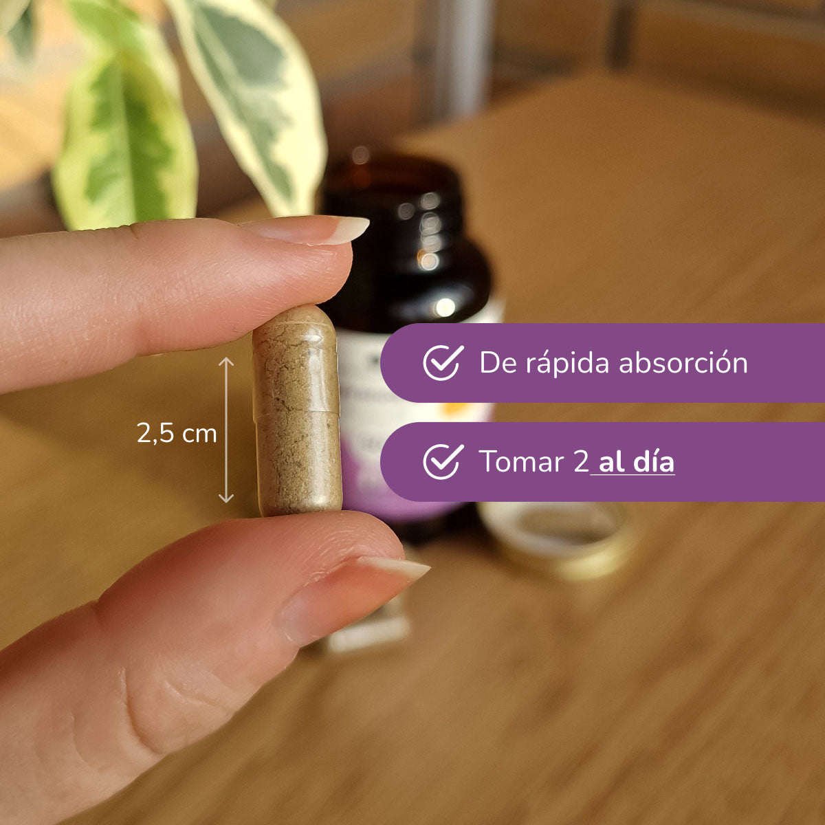 Hair Booster pelo, piel y uñas Planeta Huerto 120 cápsulas