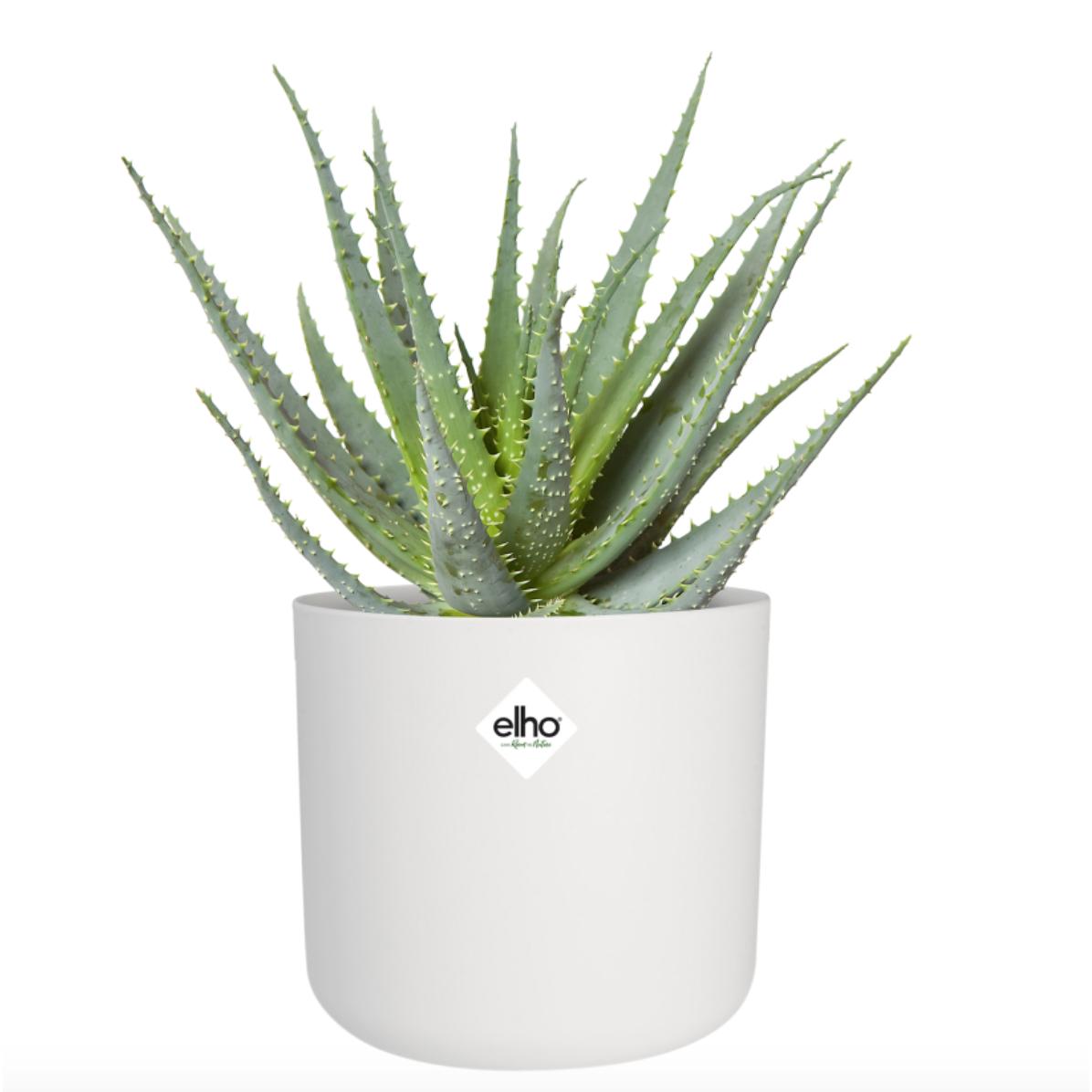 Macetero B.for Soft Round Elho Blanco 16 cm