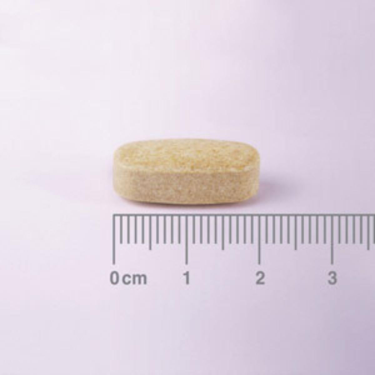 Pack 2 x Glucosamina, Condroitina, MSM, Jengibre Lamberts 120 tabletas