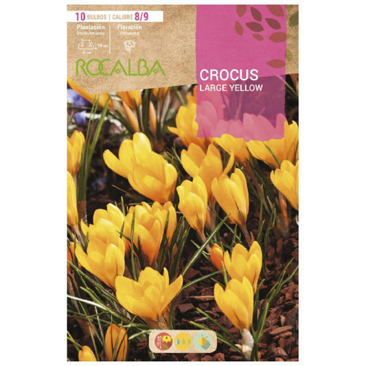 Bulbo Crocus Large Yellow amarillo 10 uds Rocalba
