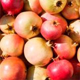 Aceite corporal Granada WELEDA 100ml