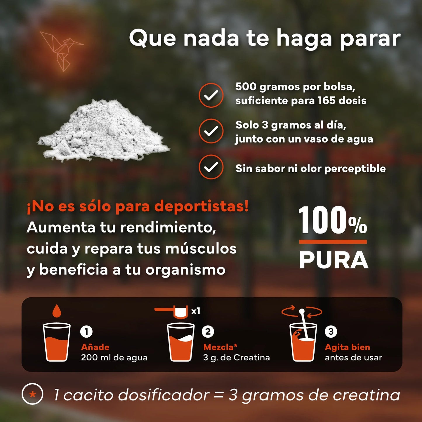 Creatina Monohidratada Sevens Nutrition 500 g