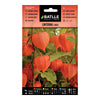 Semillas de Linterna china Batlle